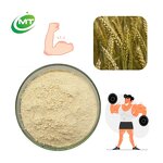 Wheat Protein Powder - 100% Pure Hydrolyzed Plant Based Food Grade Free Sample