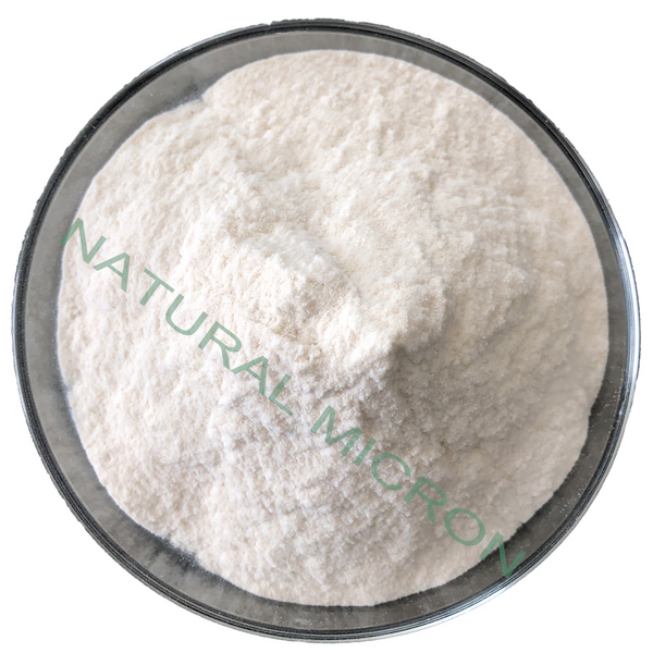 Ascorbyl Palmitate Manufacturer - CAS 137-66-6 & Top Quality