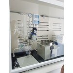 Uva Ursi Extract Manufacturer - Plant Extract for Skin Whitening Bilberry Leaf 10:1