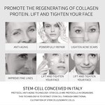 Face Care Set - Private Label Organic Moisturize Hydrate Anti Aging Whitening Skin Care