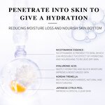 Nicotinamide Skin Care Set - Private Label Nourishing Moisturizing Brighten Facial Gift Set