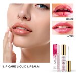 Lip Oil Gloss - OEM Essential Oil Balm Natural Organic Moisturizing Lip Care Private Label