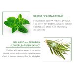 Tea Tree Foot Mask - Private Label Korean Pedicure Exfoliating Moisturizing Lavender