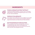 Pomegranate Scrub - OEM Private Label Moisturizing Exfoliating Red Body Exfoliator