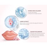 Hydrogel Lip Mask - Private Label Organic Custom Collagen Hydrating Pink Plumping Gel