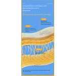 Sunscreen Cream Manufacturer - Private Label SPF 50 PA+++ Whitening Water Resistant 30g for All Skin Types & PeilSi