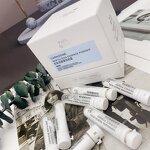 Collagen Cream Manufacturer - Elastic Firming Wire Drawing Cream Hydrating Light Filling Powder & PeilSi OEM ODM