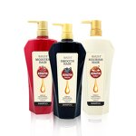 Shampoo Manufacturer - New Products 1200ml Moisturizing Oil Control Pomegranate Honey Charcoal for Hair Growth & SKIH