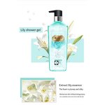 Shower Gel Manufacturer - Hot Sale Body Wash Cleanse Moisturizing Fragrance Deeply Nourishing 750ml Adults & SKIH