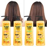 Shampoo Manufacturer - Custom 1380ml Wholesale Oil Control Keratin Anti-dandruff for Hair & PeilSi OEM ODM