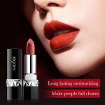 Lipstick Manufacturer - Custom Logo Wholesale Private Label Velvet Matte Waterproof Lasting Vegan & PeilSi