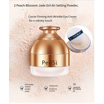 Foundation Manufacturer - Portable 20g High Quality Air Cushion Loose Setting Powders Puff BB CC Creams Base & PeilSi