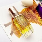 Primer Manufacturer - Hot Selling Whitening Concealer Cream Essence Liquid and Liquid Foundation & PeilSi