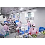 Lip Balm Manufacturer - Moisturizing Anti-Cracking Collagen Fruit Flavored Custom Logo & ODM OEM