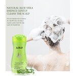 Shampoo Wholesale Supplier - Moisturizing Fluffy Deep Cleaning Nourishing for Hair Growth & LOLO OEM ODM