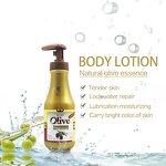 Body Lotion Manufacturer - Hydrating Deeply Moisturizing Dry Skin Silky Whitening After-bath Milk & LOLO