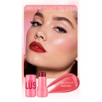 Blush Stick Manufacturer - Tint Stick 4 Color Double Use Fruit Jelly Blusher Lip Balm Moisturizing Cheek Waterproof & SKIH