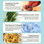 Baby Bottle Dish Soap - Natural Aloe Vitamin B5 Plant Powered Milk Stain Remove