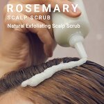 Rosemary Hair Care Set - Private Label Biotin Caffeine Salicylic Acid Scalp Balance Regrowth