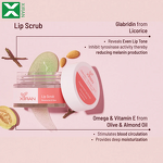 Organic Lip Scrub - Wholesale Custom Logo Natural Exfoliating Moisturizer Skin Care Essential