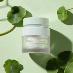 Cica Niacinamide Anti Acne Gel - Private Label Vegan Centella Spot Treatment Cream