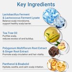 Tea Tree Ceramide Shampoo - Private Label Microbiome Balance Smooth Hydrating Strengthening