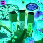 Lip Oil - Private Label Vegan Organic Fruit Flavor Vitamin E Moisturizing Lip Plump