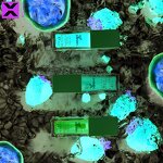 Lip Oil - Private Label Vegan Organic Fruit Flavor Vitamin E Moisturizing Lip Plump