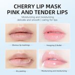 Lip and Eye Mask Set - Private Label Collagen Cherry 24k Gold Anti Wrinkle Moist Lip Mask
