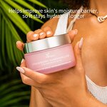 Natural Body Care Set - Custom Logo Organic Oils Shea Butter Hydrate Nourish Glow Skin