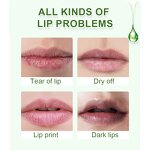 Green Clear Lip Gloss - No Logo Vegan Plant Fruit Flavor Moisturizer Plumping Lip Oil