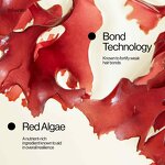 Sulfate-Free Hair Set - Anti-Dandruff Red Algae Bond Technology Women Hair Loss OEM ODM