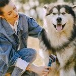 2 in 1 Pet Grooming Brush - Safe Undercoat Rake Dematting Tool Shedding Comb for Dogs Cats