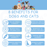 Dog Hemp Oil Supplement - Manufacturer - Oem&Odm Allergy Immunity Arthritis Pain Relief Organic