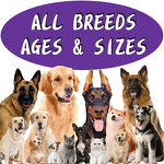 American Bully Supplement - Manufacturer - N in 1 Joint MSM Glucosamine Muscles Builder