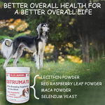 Dog Fertility Supplement - Manufacturer - Professional Custom Brand OEM Prenatal Vitamins Cycle