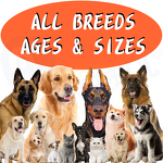 Dog Vitamin Supplement - Manufacturer - OEM&ODM N in 1 Glucosamine HCL Minerals Private Label