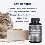 Cat Probiotic Capsules - Manufacturer - 6B CFU 8 Strains Prebiotic Postbiotic Digestion Immune