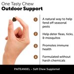 Flea Tick Control Chew - Manufacturer - Pest Defense All Breeds Sizes Natural Prevention