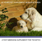 Gestamate Dog Supplement - Manufacturer - Botanical Blend Pregnant Post Breeding Whelp Weaning