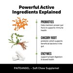 Dog Probiotic Chew - Manufacturer - Wholesale Private Custom Bowel Digestive Immune Health