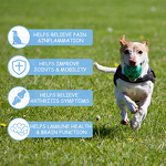 Dog Hemp Oil Supplement - Manufacturer - Oem&Odm Allergy Immunity Arthritis Pain Relief Organic