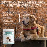 Dog Weight Gainer Powder - Manufacturer - Custom High-Calorie Protein Muscle Building Canine