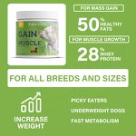 Dog Muscle Gain Supplement - Manufacturer - Premium Pet Health Care Nutrition Dietary