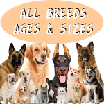 Dog Immune Supplements - Manufacturer - ODM/OEM Soft Chews Seasonal Allergy Pet Food