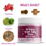 Cat Urinary Tract Tablet - Manufacturer - Private Label Acetylglucosamine Cranberry D-Mannose