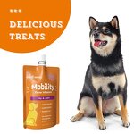 Dog Hip Joint Supplement - Manufacturer - Glucosamine Chondroitin MSM Functional Mobility