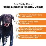 Dog Joint Supplement - Manufacturer - Private Label Hip Joint Mobility Active Support Care