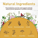 Urinary Kidney Supplement - Manufacturer - Organic Herbal Liquid Relief Pet Health Care