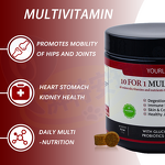 Dog Multivitamin Supplement - Manufacturer - 10 in 1 Vitamins Minerals Glucosamine Coq10 Wholesale